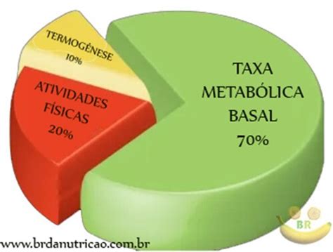 taxa metabólica basal